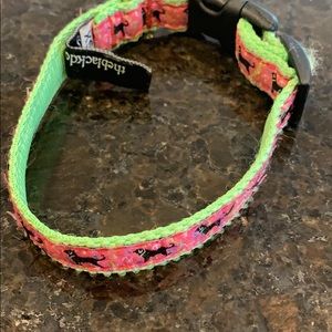 The black dog collar XS